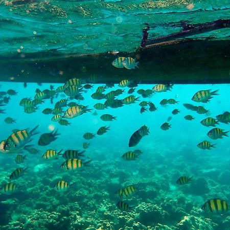 Phuket Meet Holiday Hotel 普吉岛相遇花园度假酒店 Rawai Екстериор снимка